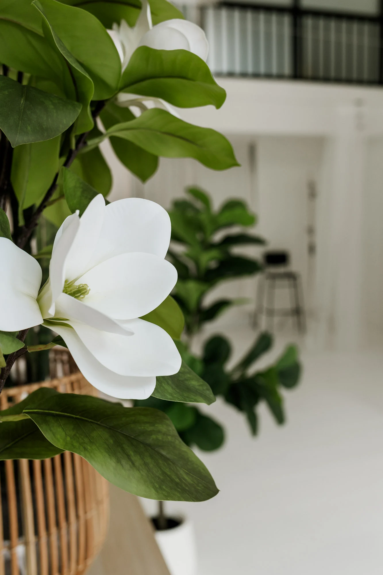 Crisp e-commerce catalog photography revealing detailed product textures